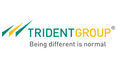 trident-group